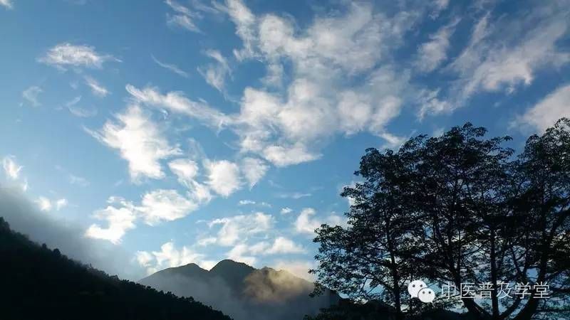凤阳拾遗：草医刘济勇老师讲述8——能穿透血脑屏障的单片牙