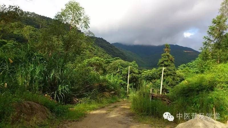 凤阳拾遗：草医刘济勇老师讲述8——能穿透血脑屏障的单片牙