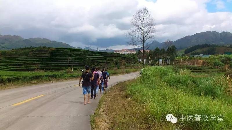 凤阳拾遗：草医刘济勇老师讲述8——能穿透血脑屏障的单片牙