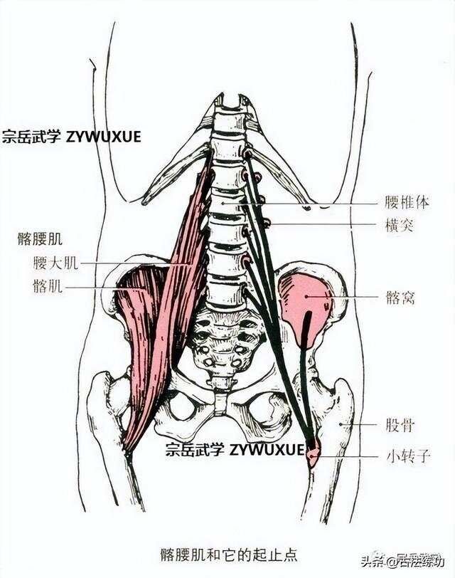 我不会内功，我会中节劲