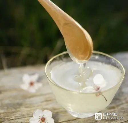 白萝卜泡蜂蜜要去皮吗白萝卜蜂蜜水有什么好处