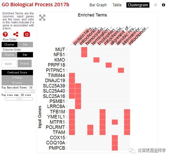 在线的基因集富集分析工具——Enrichr