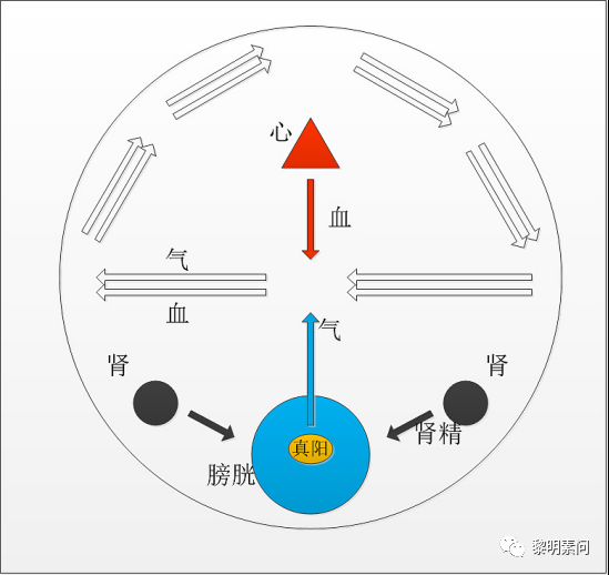 怎样给自己看病（5）治本