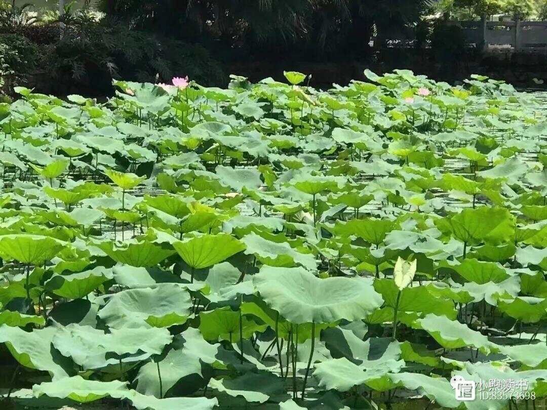 星云大师10条语录，工作是一场修行，让人变得越来越好！