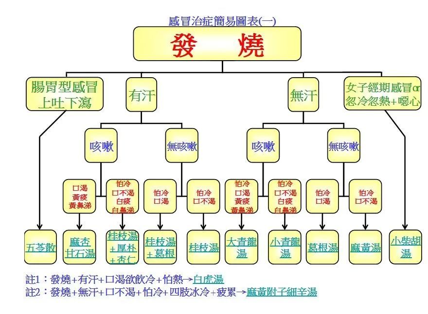 倪海厦：治疗感冒经方简易图表及十六经方（果断收藏）