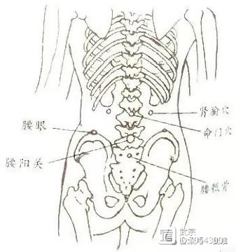 道家秘传·丹床八段锦（培元内气）