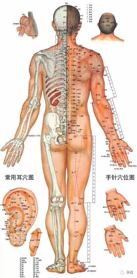 追忆张至顺真人｜张真人亲传道家按摩手法｜修订版201801