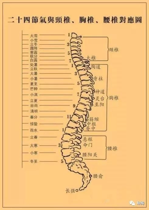 追忆张至顺真人｜张真人亲传道家按摩手法｜修订版201801