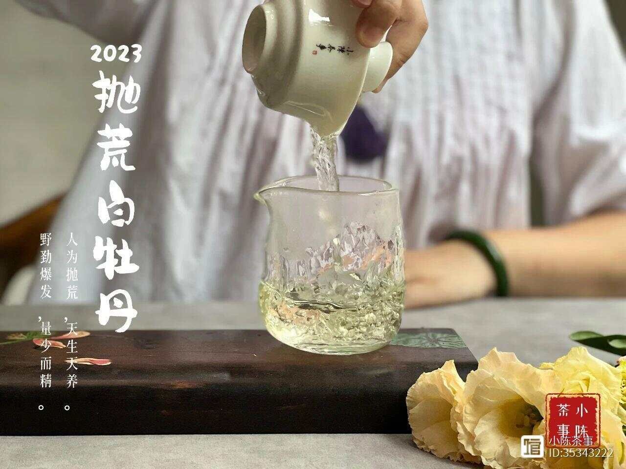 绿茶、红茶、白茶，三种茶叶的正确冲泡方法，一篇文章全搞定