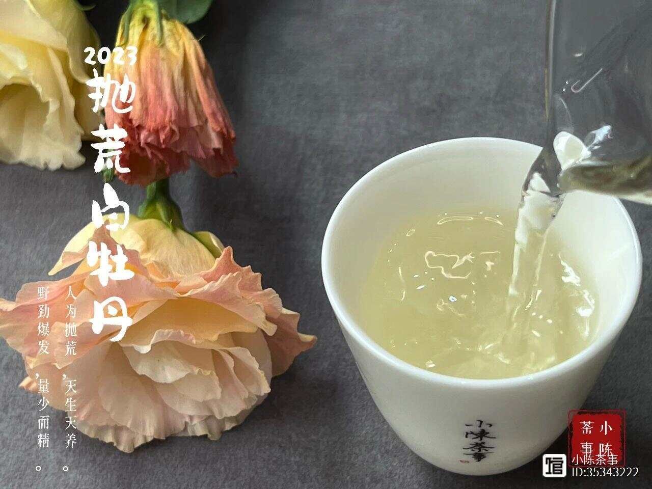 绿茶、红茶、白茶，三种茶叶的正确冲泡方法，一篇文章全搞定