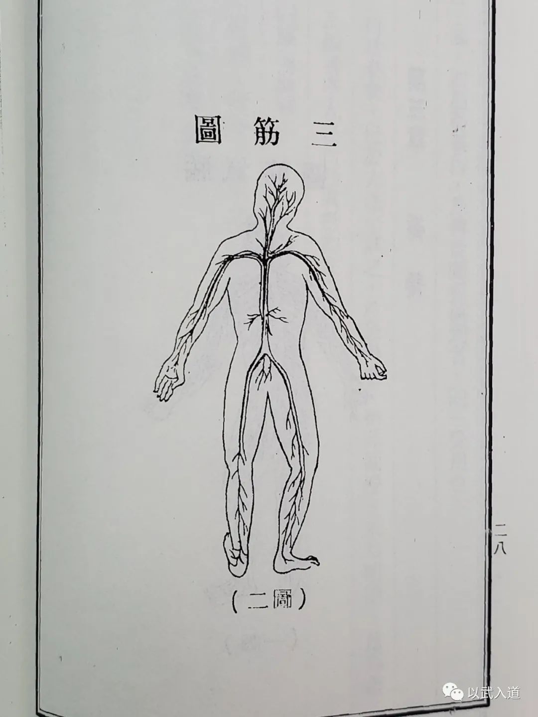 长筋术---陈撄宁推荐，仙家入门