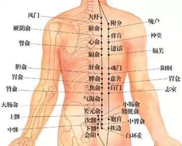 拔罐 | 为什么要在背部拔罐