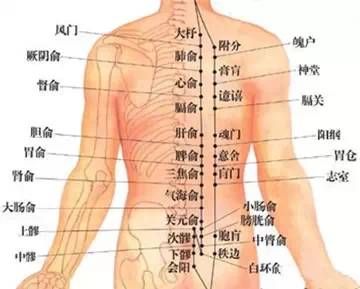 拔罐 | 为什么要在背部拔罐