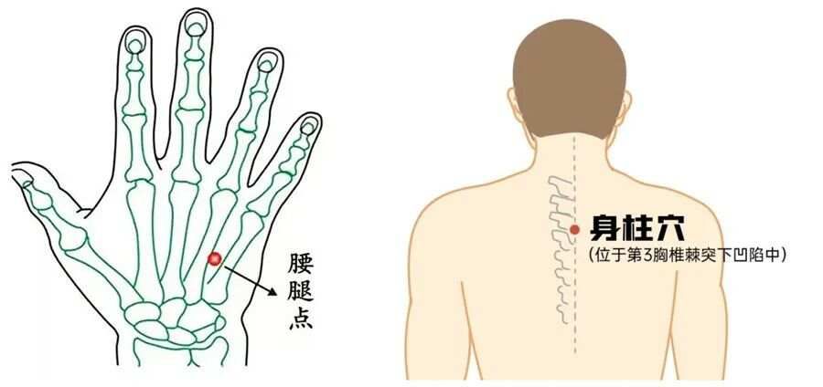 治不长个——易安×形法临床实践录（45）