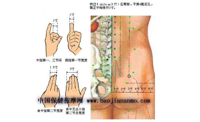 中医传统保健穴位养生——针灸艾灸治疗坐骨神经痛、腰椎间盘突出...