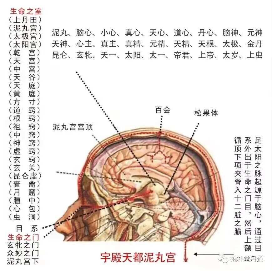 泥丸脑心命门咏（十五）