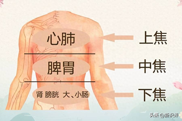 八段锦心得：拉筋、意念、气感才是精髓，初学做不到也要了解