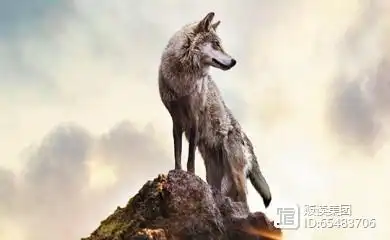 变坏看看条狗个人知道是狗吗__变坏是什么样子
