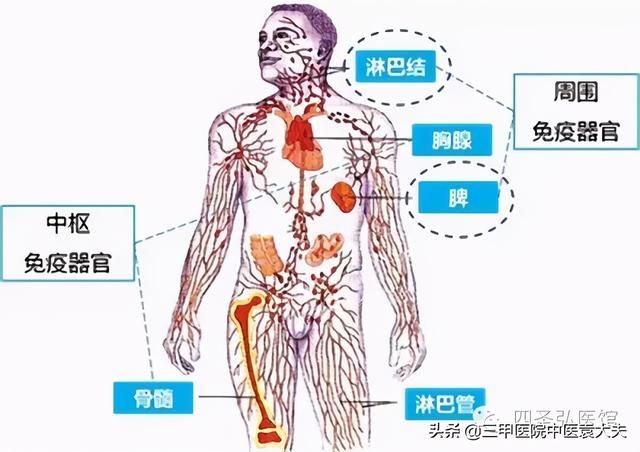 迈入中医之门第70篇：中医视角解读“牙痛论治”