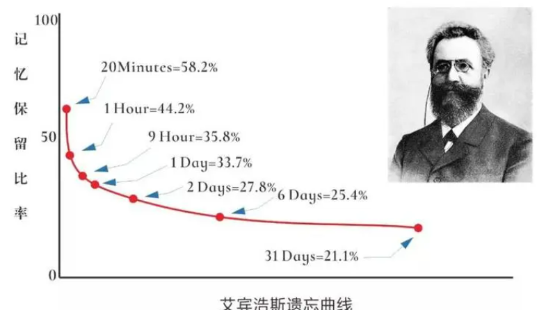 文言文，古诗词鉴赏，语言文字运用，作文的高考备考启示：解读教...