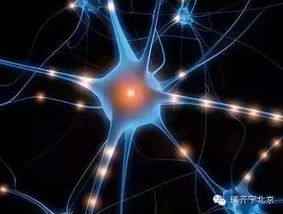 人人需要充电！白寿揭开生物电特色疗法的密秘~
