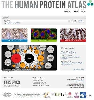 Human Protein Atlas:蛋白表达工具介绍(上)