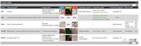 Human Protein Atlas:蛋白表达工具介绍(上)