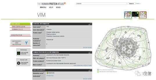 Human Protein Atlas:蛋白表达工具介绍(上)