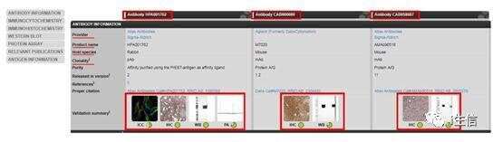 Human Protein Atlas:蛋白表达工具介绍(上)