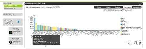 Human Protein Atlas:蛋白表达工具介绍(上)