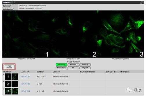 Human Protein Atlas:蛋白表达工具介绍(上)