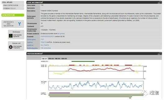 Human Protein Atlas:蛋白表达工具介绍(上)