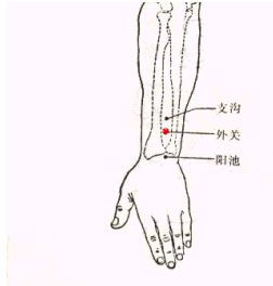 穴时，由外膝眼向下量4横指