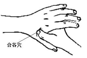 穴时，由外膝眼向下量4横指