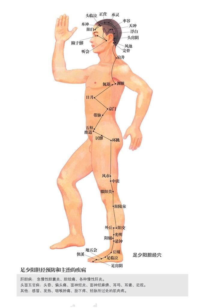穴时，由外膝眼向下量4横指