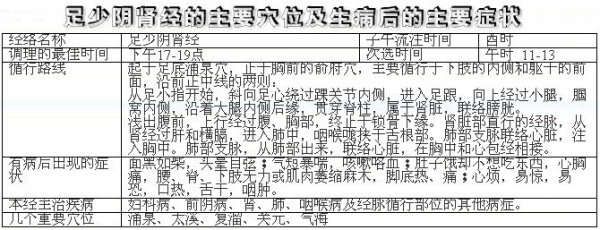 肝经、脾经、肾经、胃经上的几个重要穴位的位置与功能