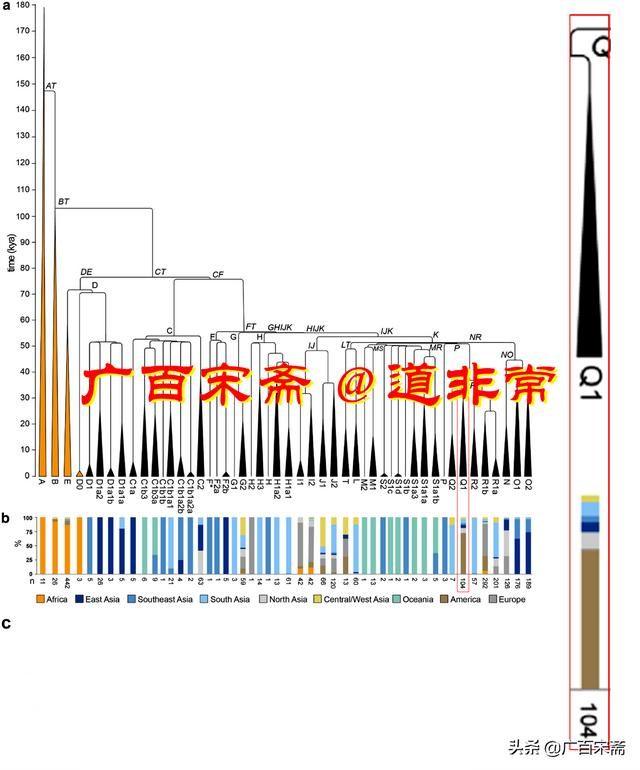 而上述国家和地区广泛分布拥有M120的人们这一事实，再次充分证明我的华夏文明起源和迁