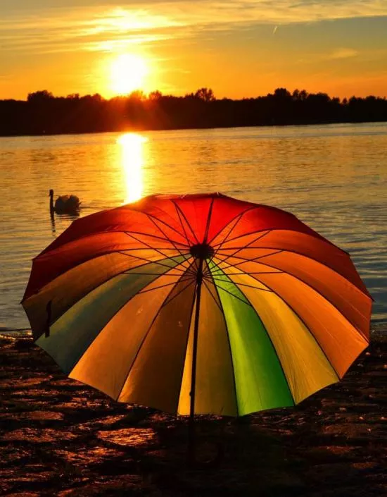 人间最美夕阳红