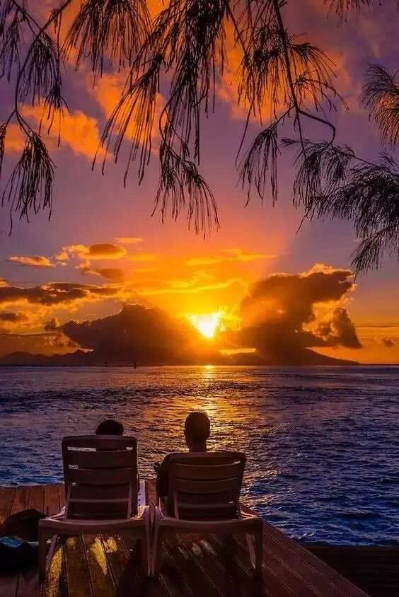 人间最美夕阳红