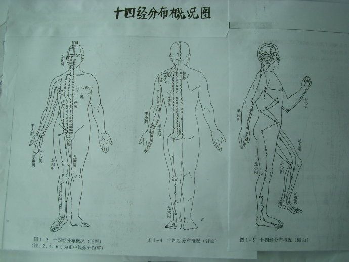 经络在太极拳演练中的运动规律