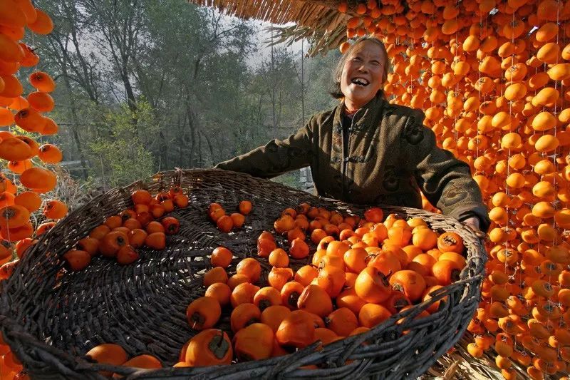 兑卦解析与应用