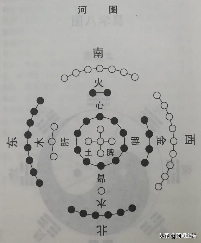 专家们，《黄帝内经》守数居治；“脾数五，肾数六，心数七，肝数...
