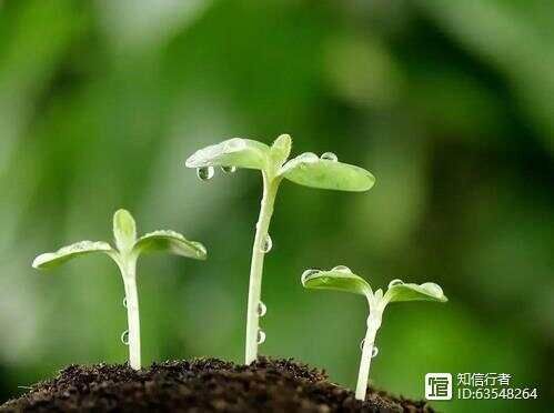 一个人外在形态一生当中变化不大，变化最大的就是自己的思维！