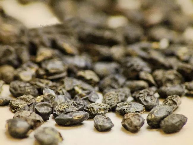 准备好没有《药性歌括400味》今天看看哪四味