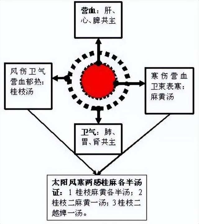 学中医必看！《伤寒论》六经辨证的含义及思维导图