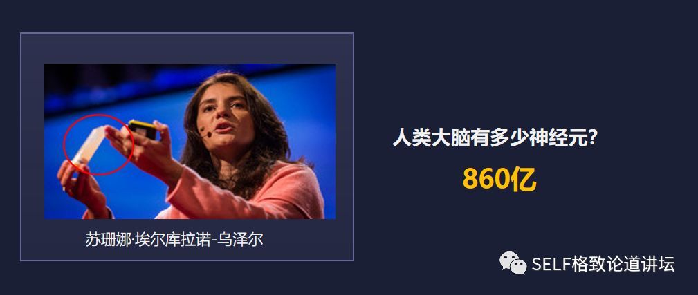 那么是什么造就了如此独特的我们