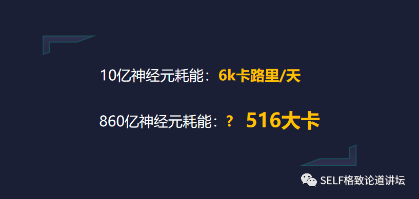 那么是什么造就了如此独特的我们