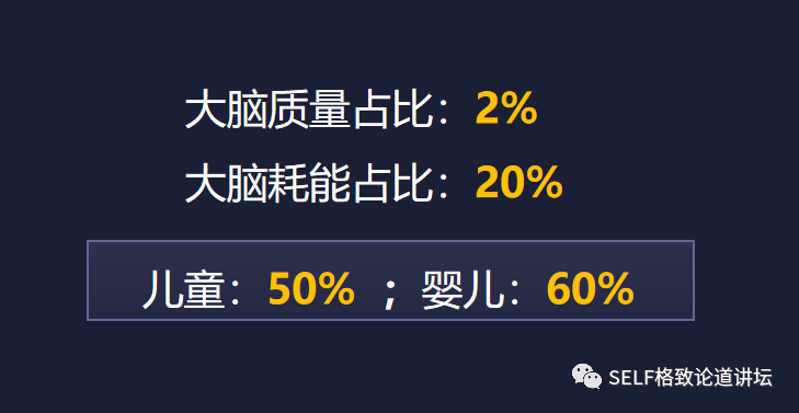 那么是什么造就了如此独特的我们