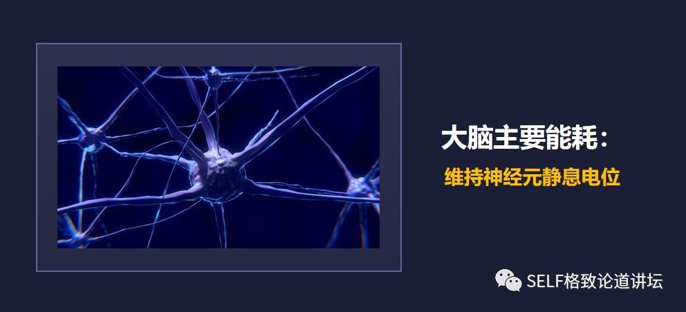 那么是什么造就了如此独特的我们