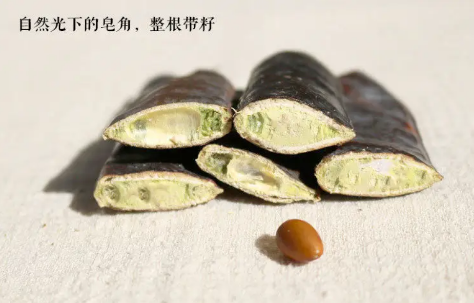 《金匮悬解》咳嗽上气——麦门冬汤，皂荚丸